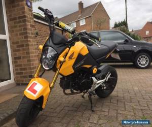 Motorcycle Honda MSX/Grom 125 [2015] + Extras for Sale